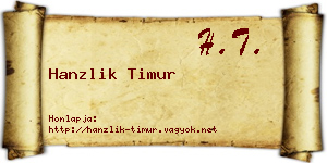 Hanzlik Timur névjegykártya